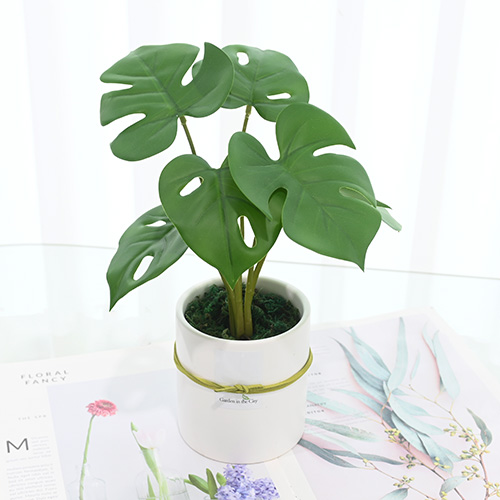 이미지 상세보기