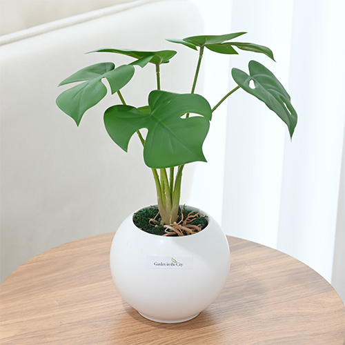 이미지 상세보기