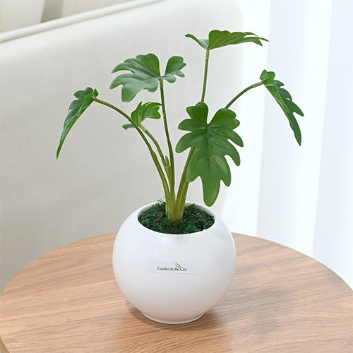 이미지 상세보기