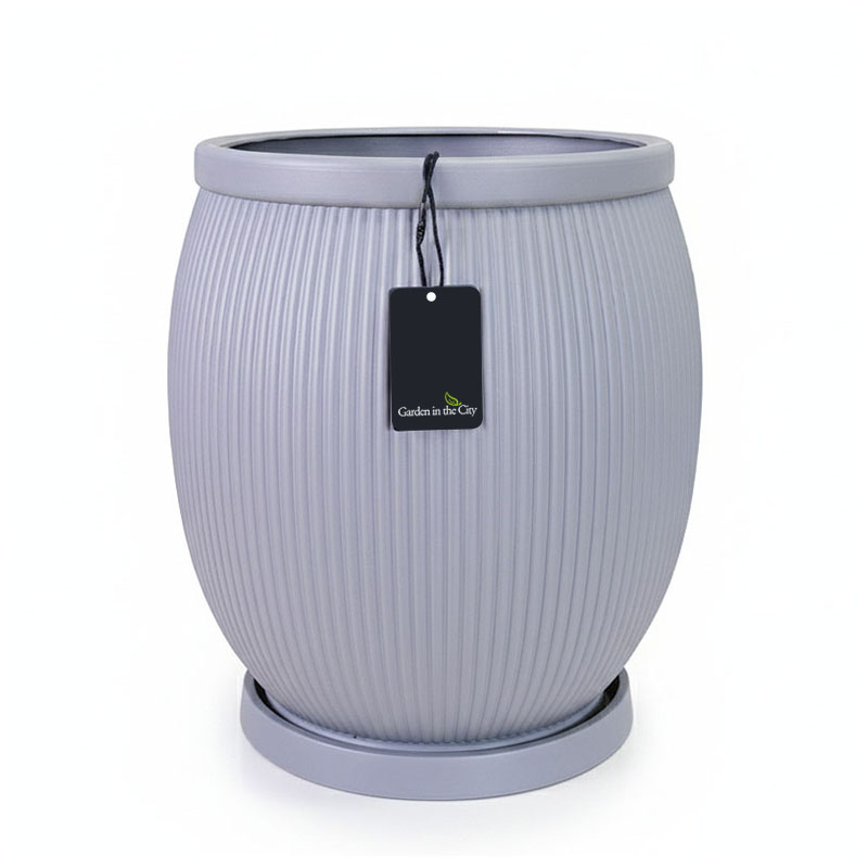 이미지 상세보기