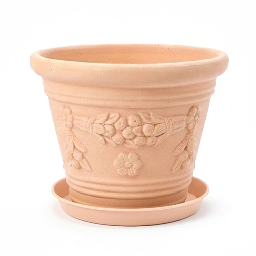 이미지 상세보기