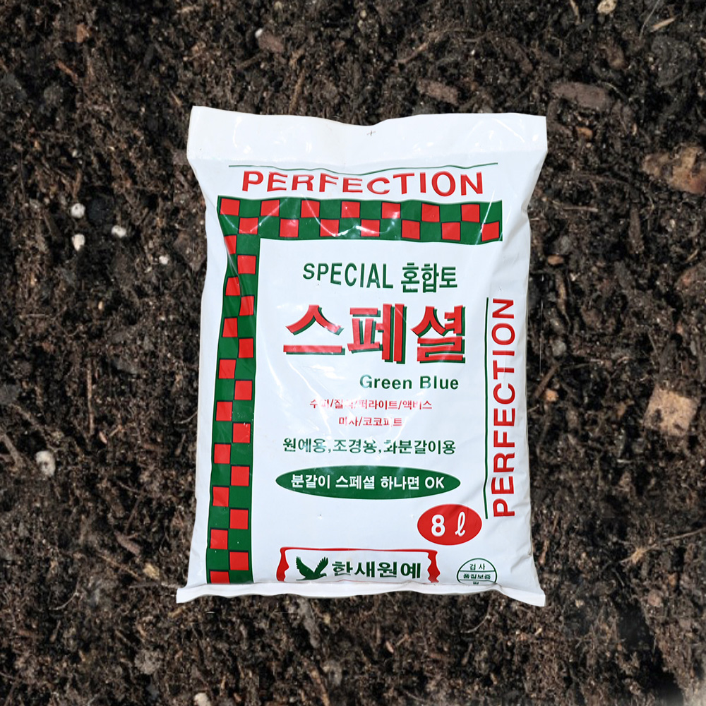 이미지 상세보기